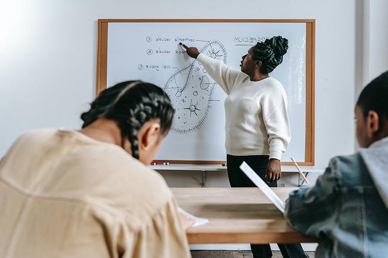 Science instructor at whiteboard discussing science diagram